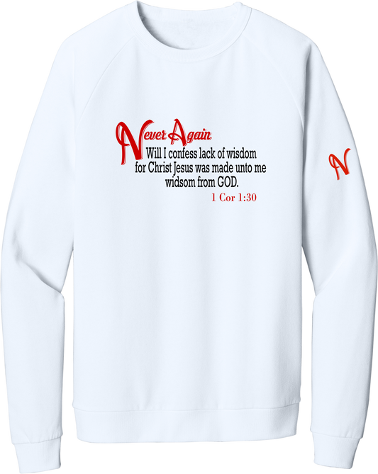 Never Again 1 Cor 130 Wisdom DT1304 Sweatshirt